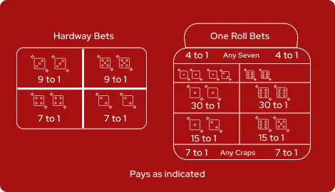 Craps - Any Craps Bets
