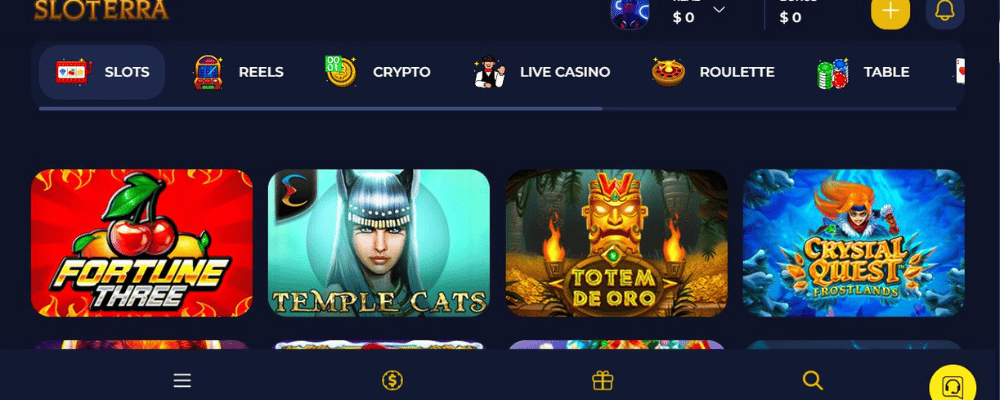 Sloterra Casino Depositing Money