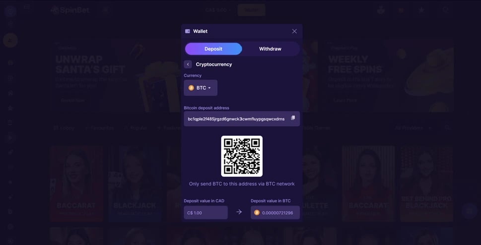 Spinbet Casino Depositing Money_