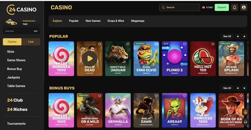 Using the 24Casino Website_