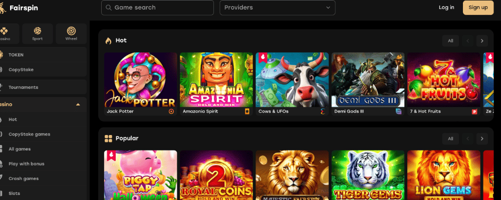 Using the Fairspin Casino Website