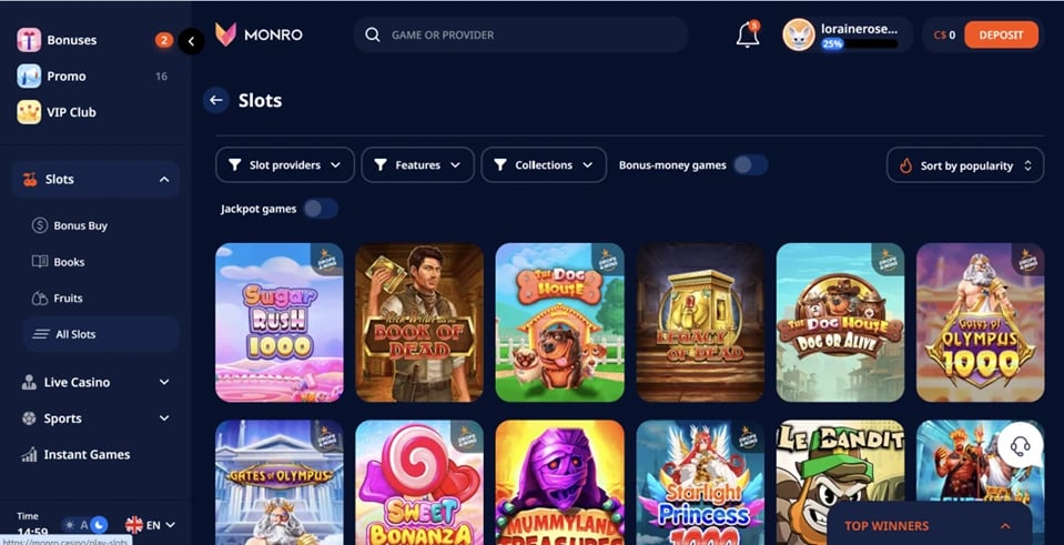 Using the Monro Casino Website