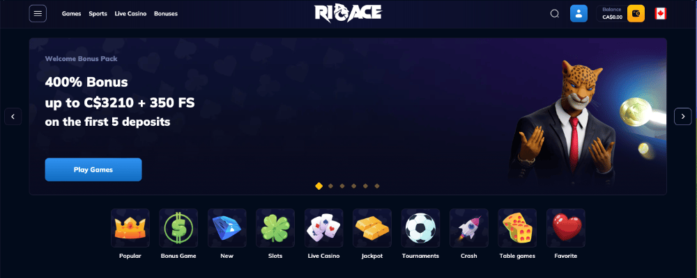 Using the RioAce Casino Website