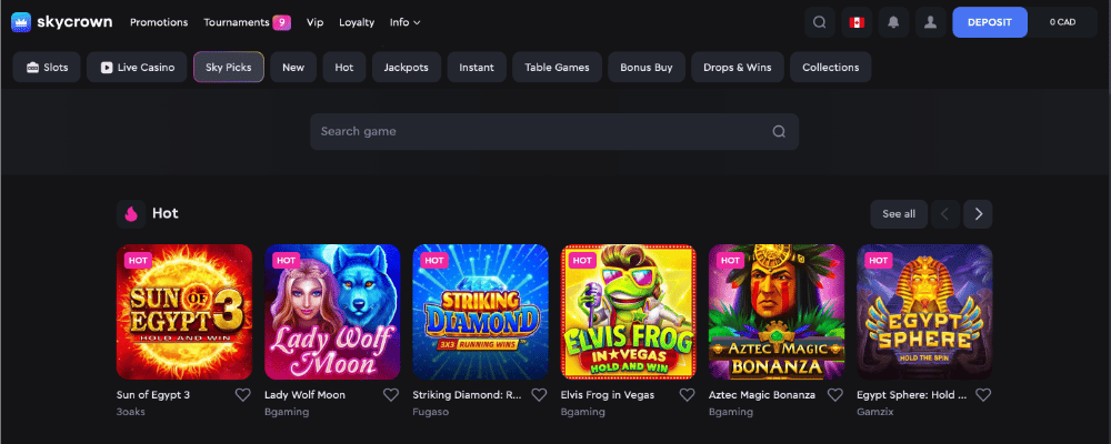 Using the Skycrown Casino Website