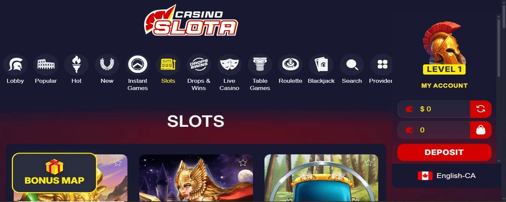 Using the Slota Casino Website