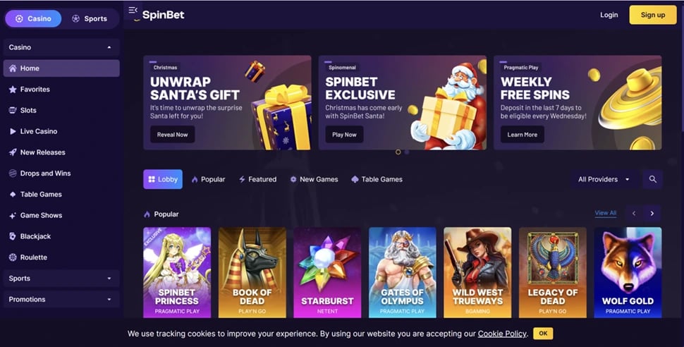 Using the Spinbet Casino Website_