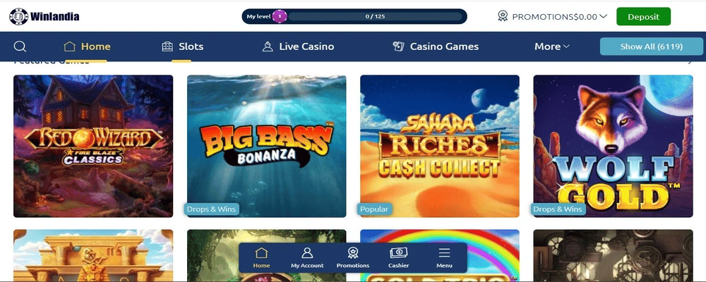 Using the Winlandia Casino Website
