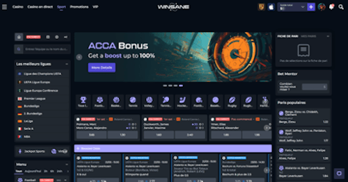 Winsane Sports marchés