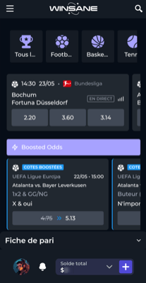 Winsane Sports mobile