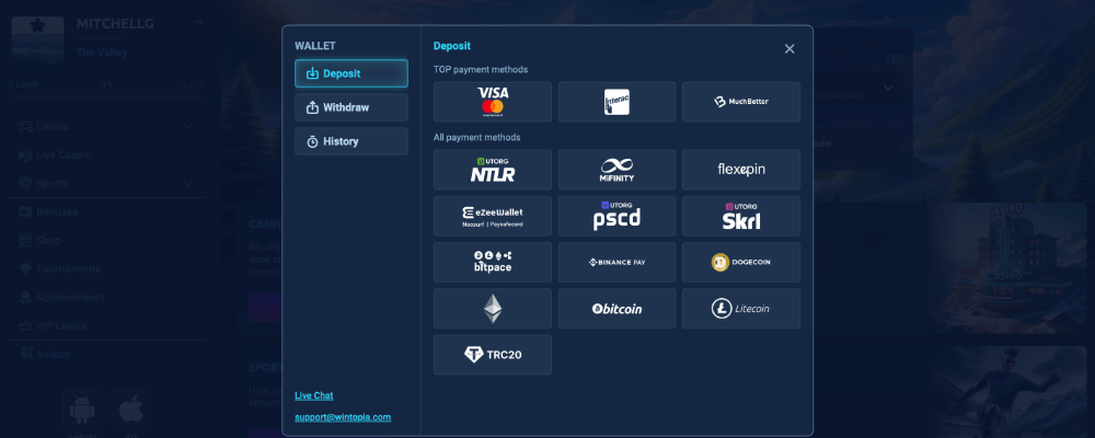 Wintopia Casino Depositing Money