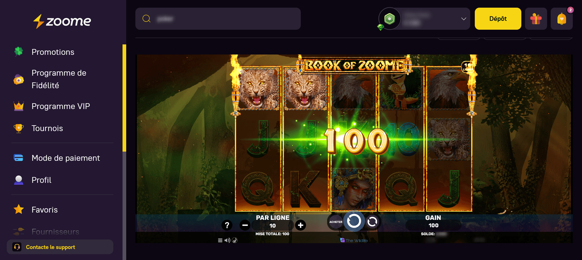 Zoome Jeu Favori