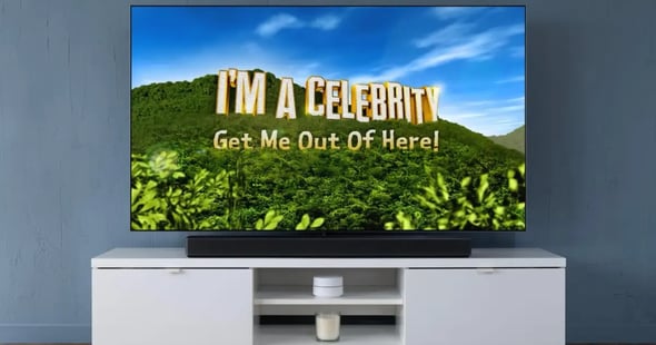 I&#039;m A Celebrity 2025 Odds: Scott Set For Jungle Boot, Angry Ginge Favourite