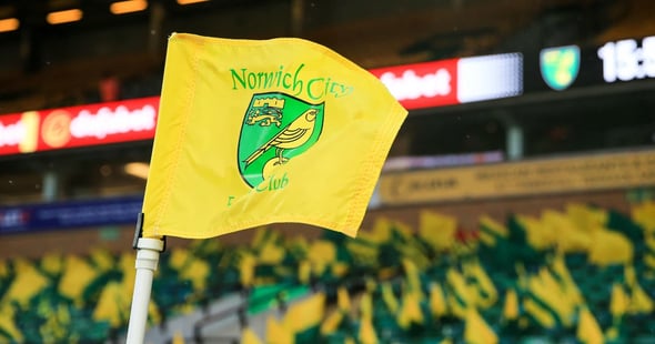 Next Norwich Manager Odds: Gary O&#039;Neil Tipped For Canaries Role