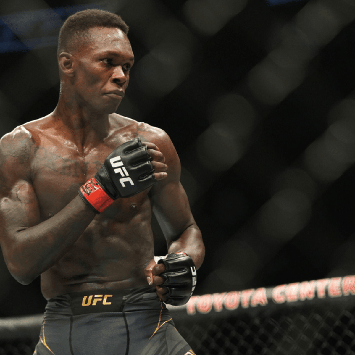 Adesanya vs. Strickland UFC Odds & UFC 293 Predictions