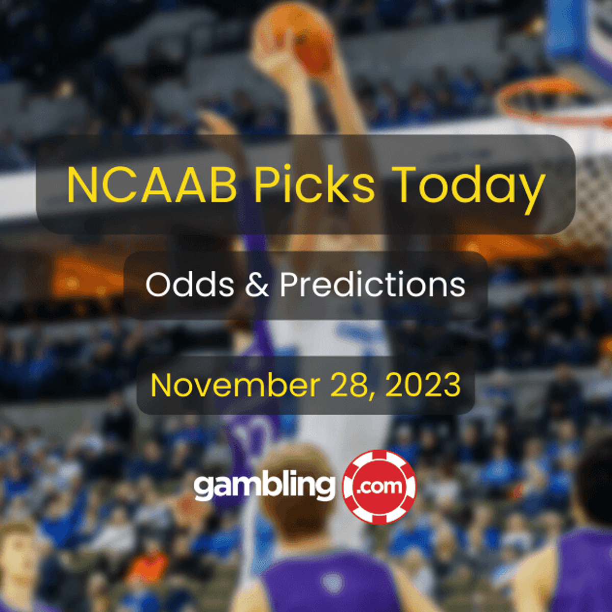 Best College Basketball Picks, Odds & NCAAB Picks for 11/28