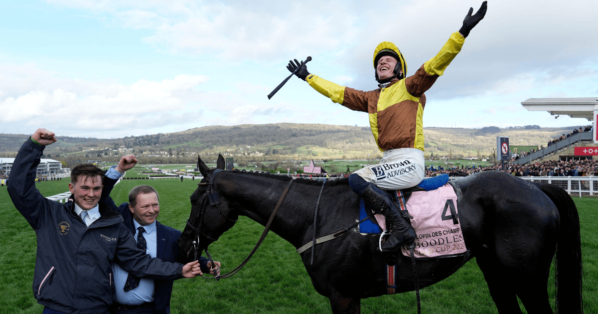 Paul Townend Booked Rides &amp; Odds