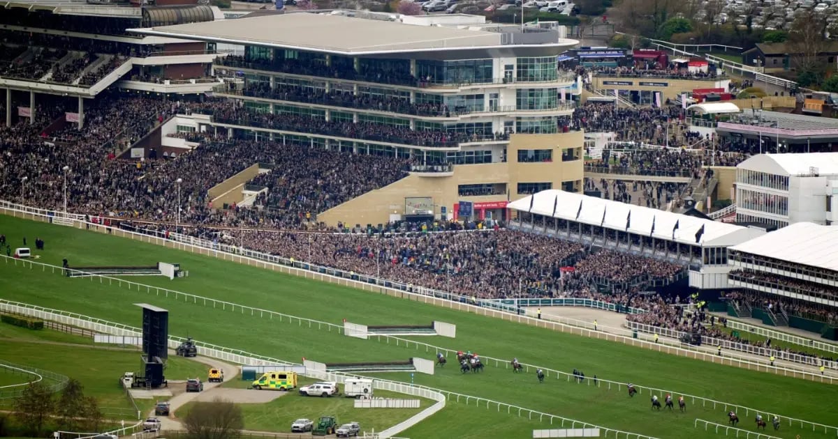 Best Cheltenham Festival Offers 2026: Free Bets For New Customers
