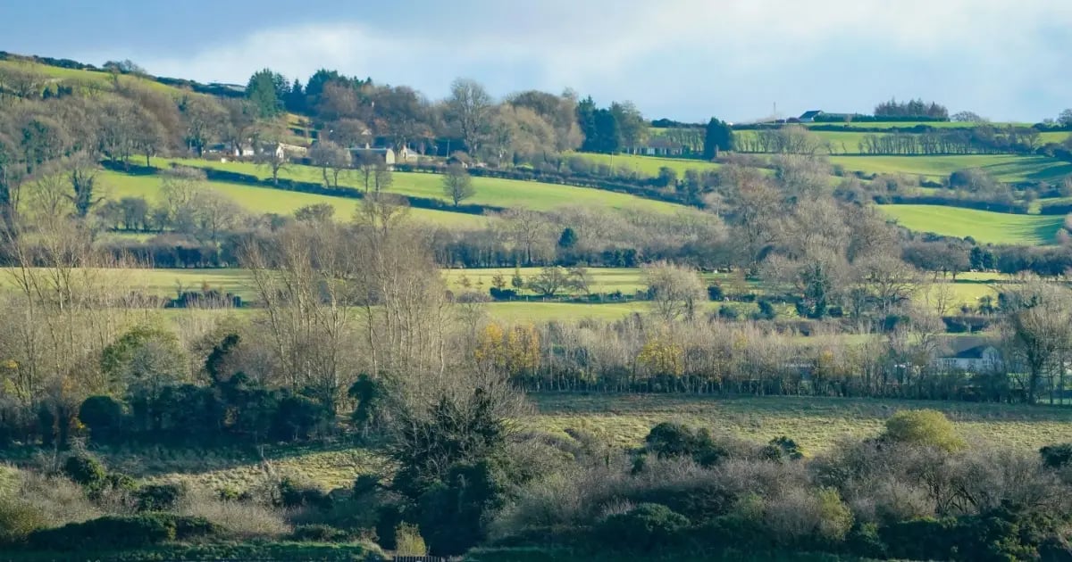 Donn McClean: Punchestown Festival Day 1 Banker, Next Best And Each-Way Bets