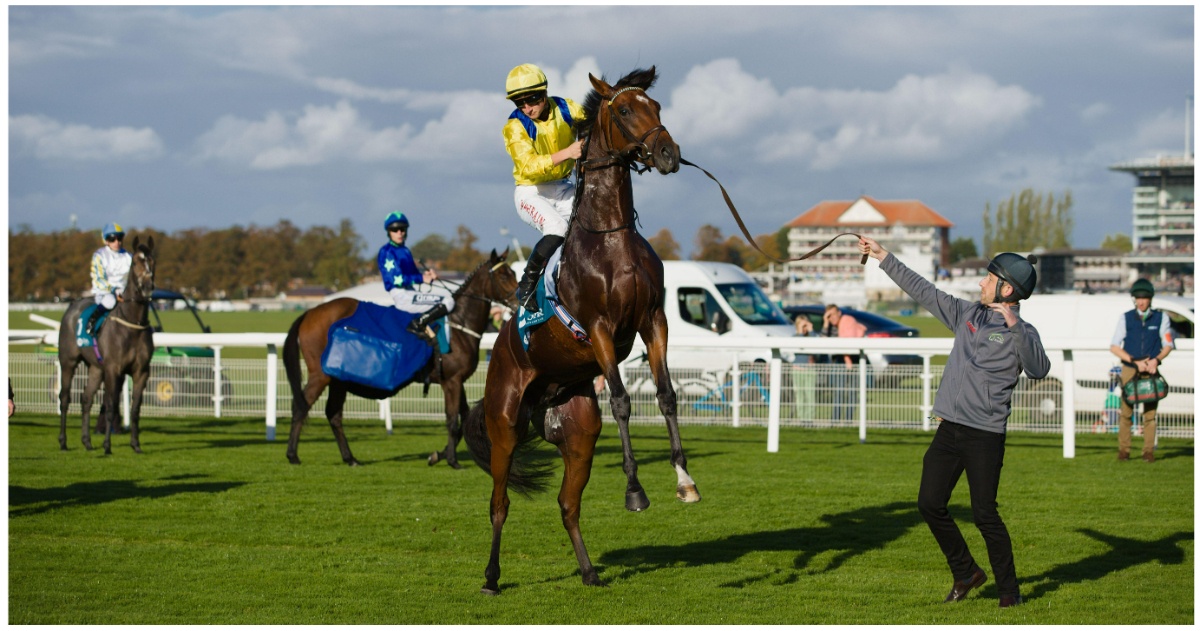 what-is-non-runner-no-bet-nrnb-meaning-explained