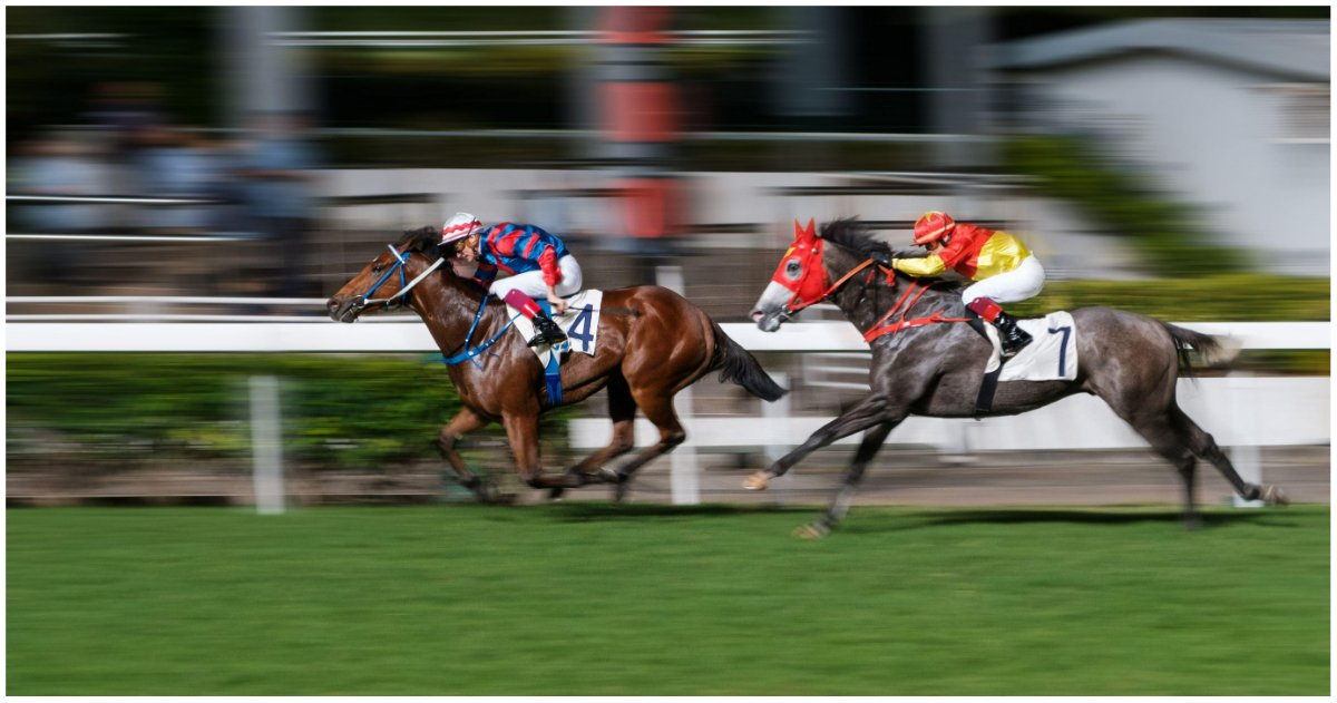 Horse Racing Betting Strategy: Choosing and Using a Strategy
