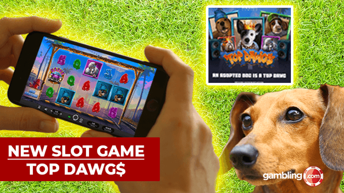 Relax Gaming&#039;s Top Dawgs Slot Supports ‘Adopt a Shelter Pet Day’