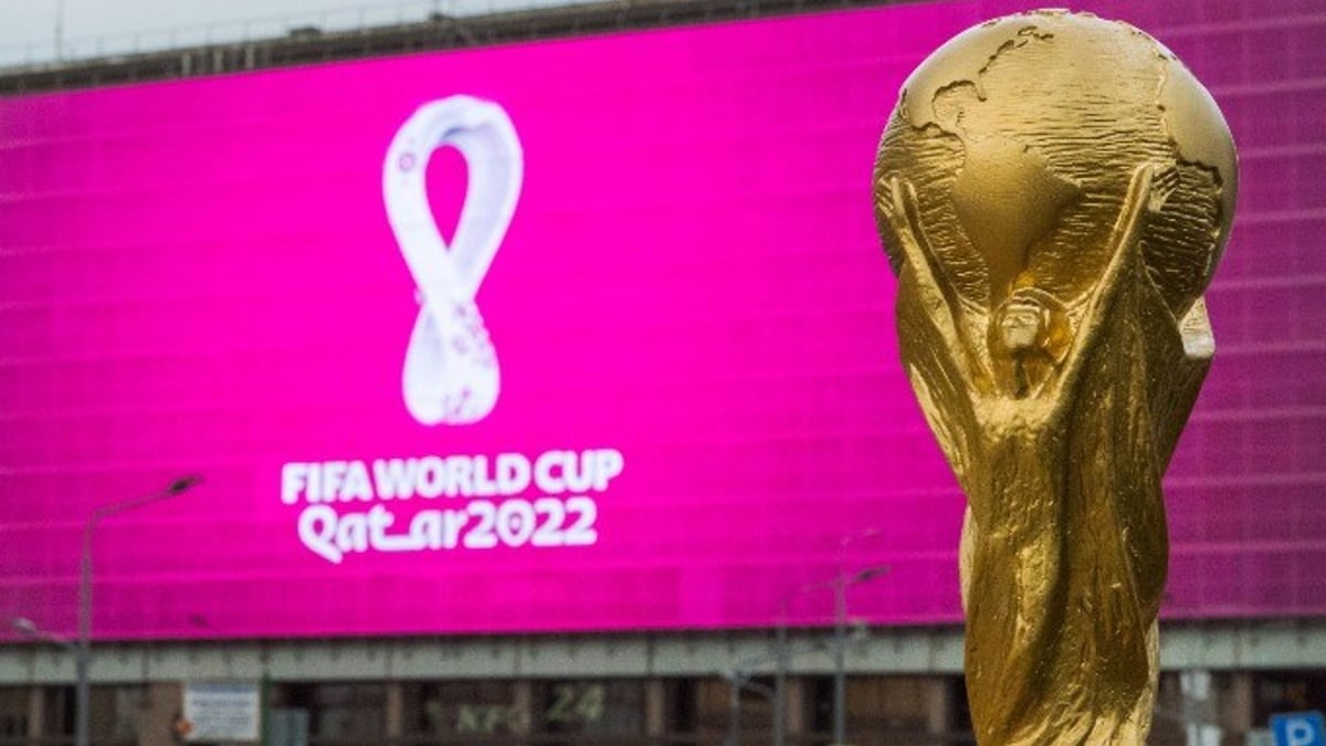 Die besten Wett-Tipps, Quoten und Analysen zur WM 2022