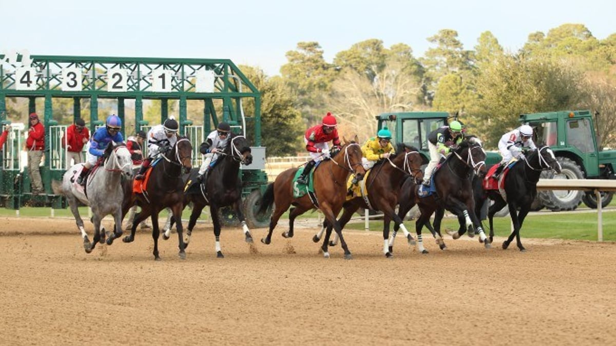 Tips and Analysis for the Smarty Jones at Oaklawn Park and the Jerome at Aqueduct