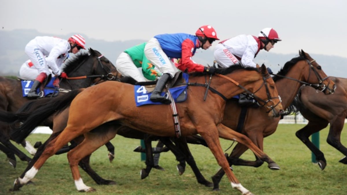 Horse Racing Betting: How To Pick a Horse