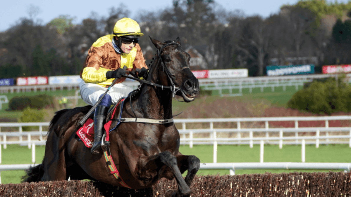 Which Race will Galopin Des Champs Run In At The Cheltenham Festival?