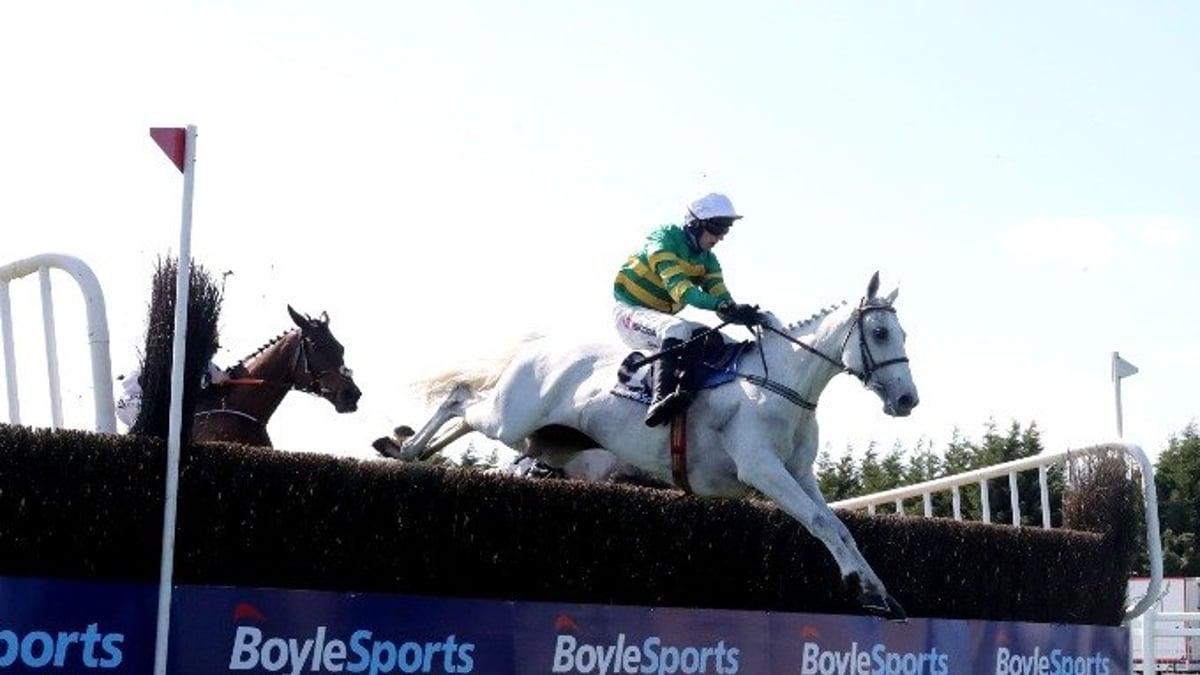 Mares’ Chase Tips &amp; 2024 Betting Preview