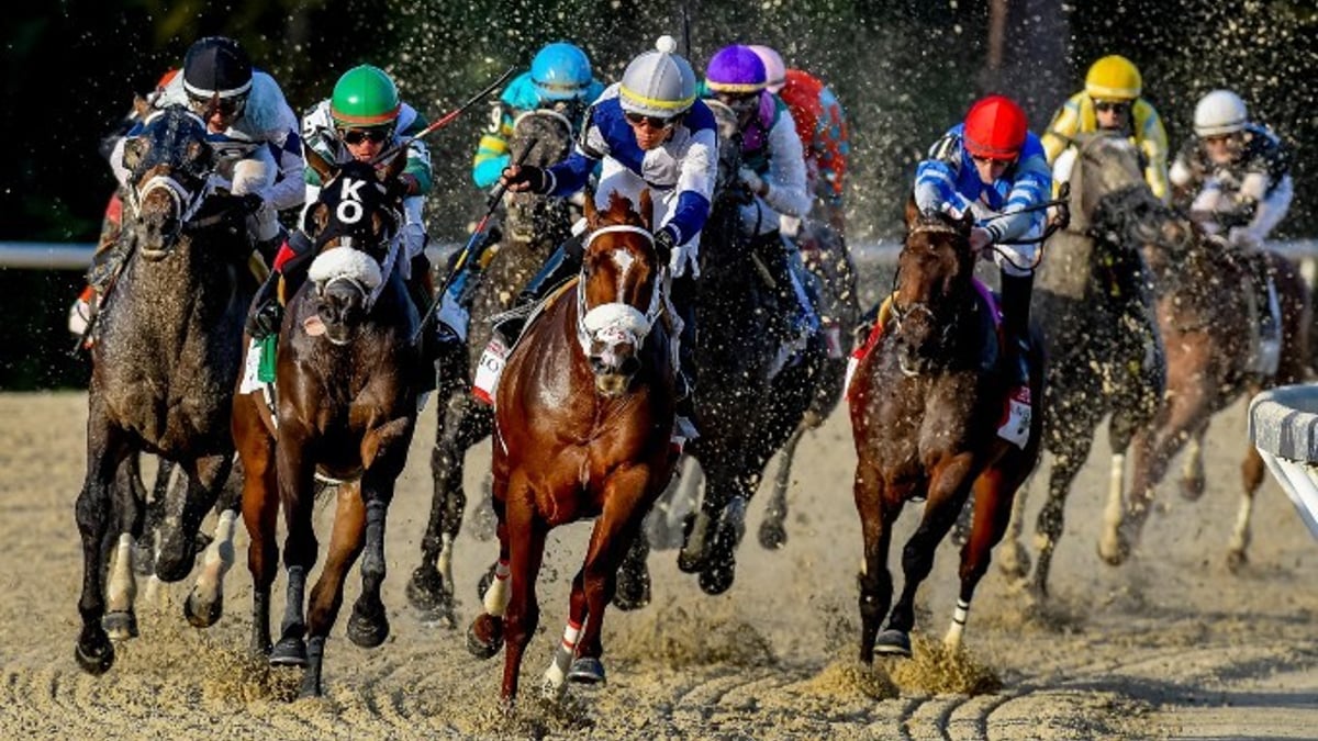 Tips and Analysis for the Tampa Bay Derby at Tampa Bay Downs