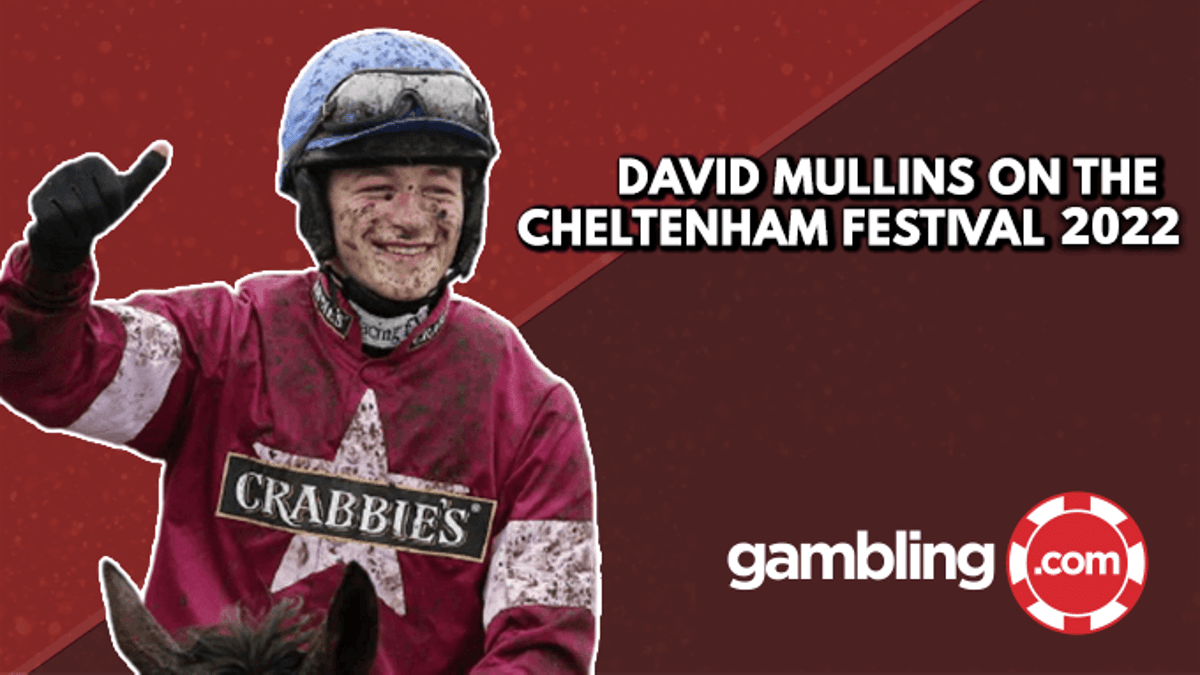Cheltenham Day 1 Tips: David Mullins&#039; Horses To Follow
