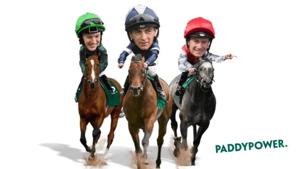 Cheltenham Offers: Get €40 Free Bets From €10 Bet With Paddy Power