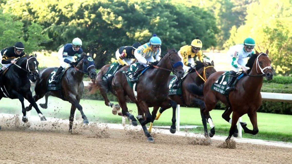 Tips and Analysis for the Arkansas Derby, Florida Derby and Jeff Ruby Steaks