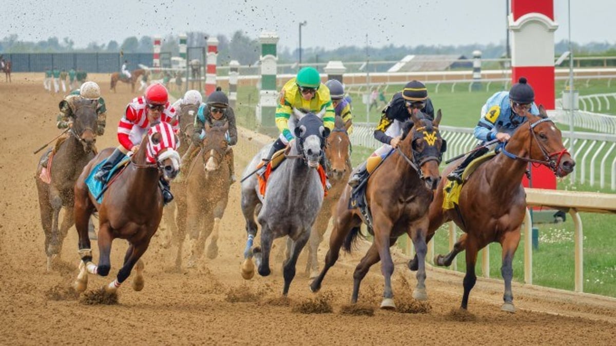 Tips and Analysis for the Lexington Stakes, the last Kentucky Derby Prep Race