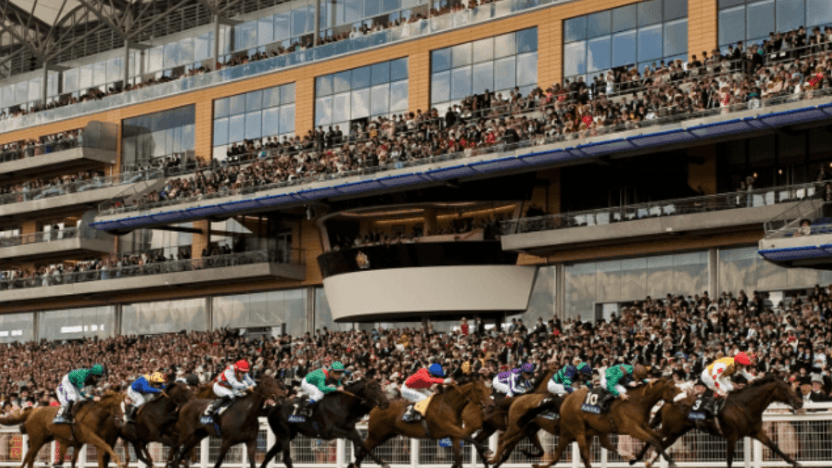 Royal Ascot 2023: Ante-Post Market Movers Update