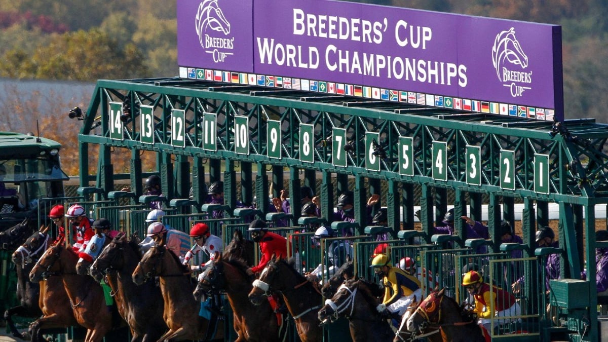 Breeders&#039; Cup 2022 Betting Guide