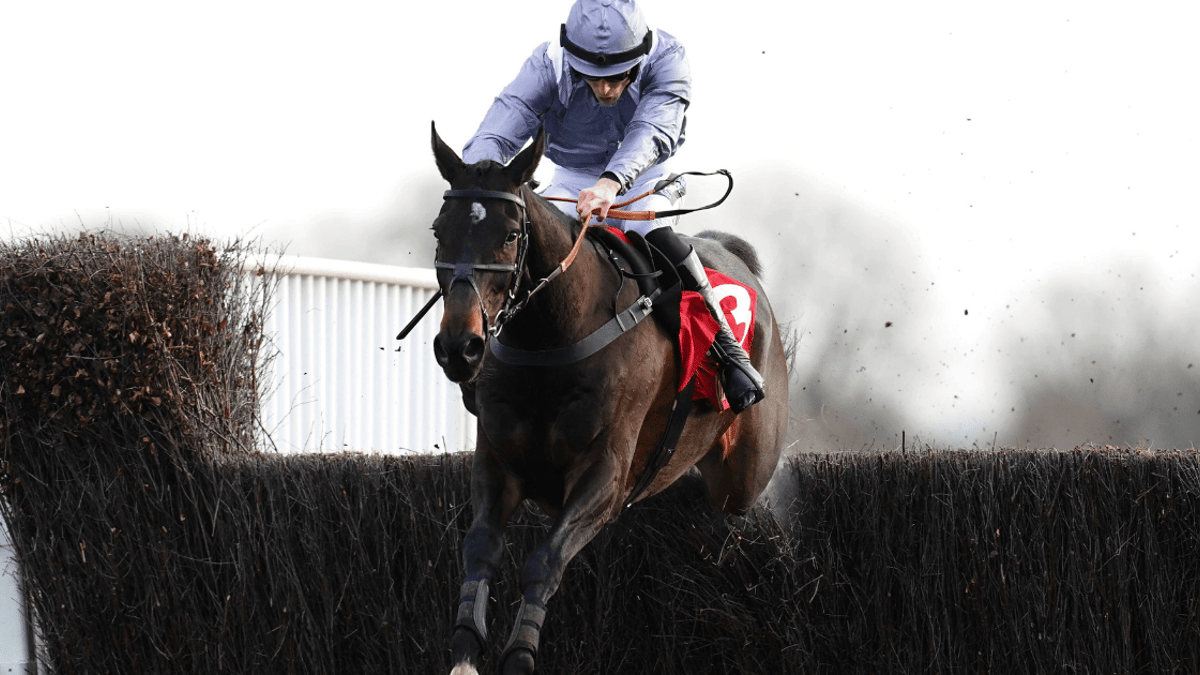 King George Chase Betting Tips, Odds &amp; Analysis