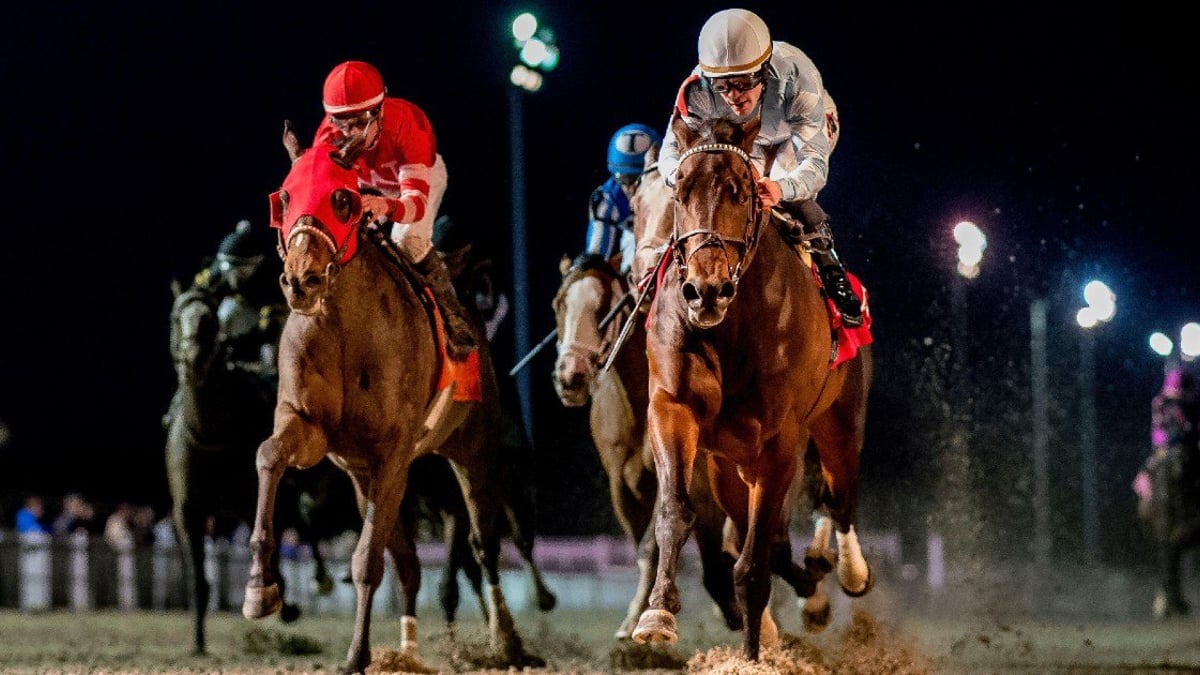 Ranking the Most Important Kentucky Derby Prep Races