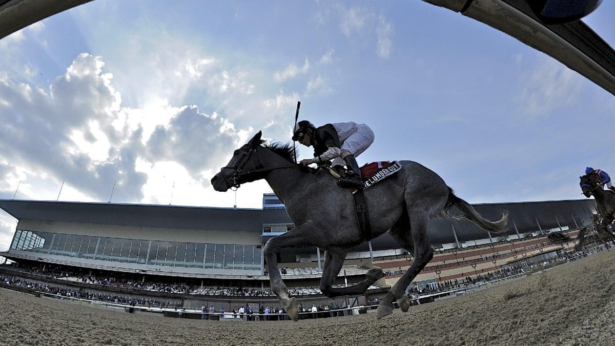 Road to the Kentucky Derby: Jerome Stakes and Shams Stakes