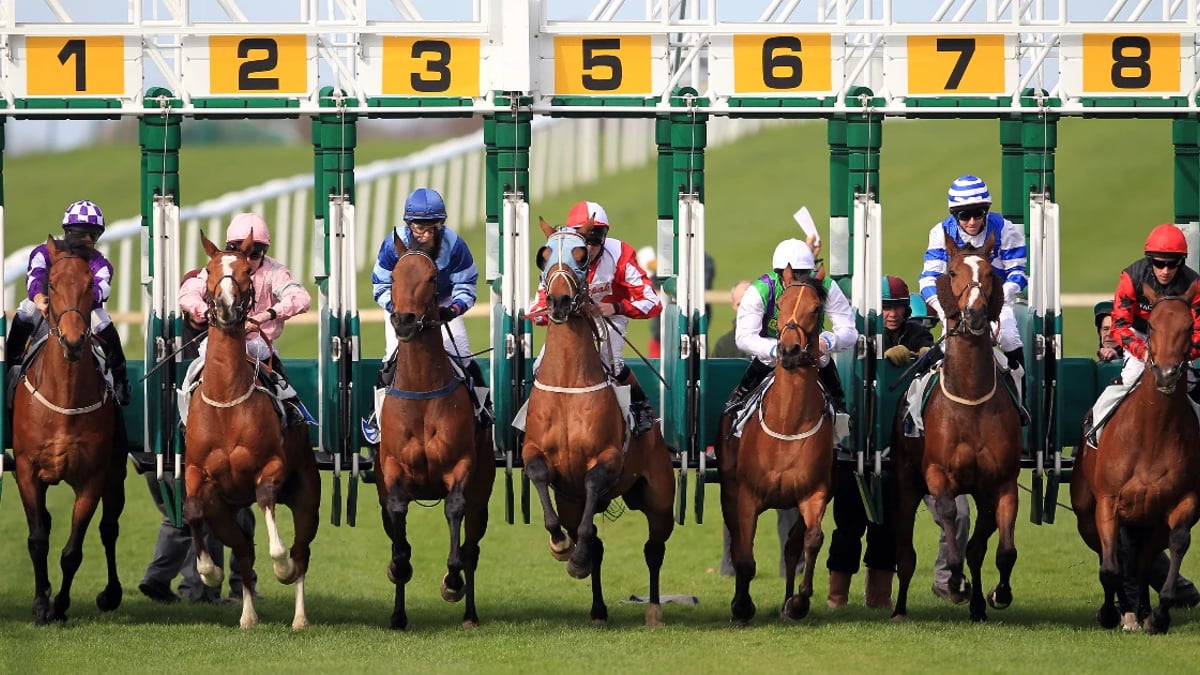 Horse Racing Tips: Today&#039;s Predictions &amp; Best Bets At Kempton