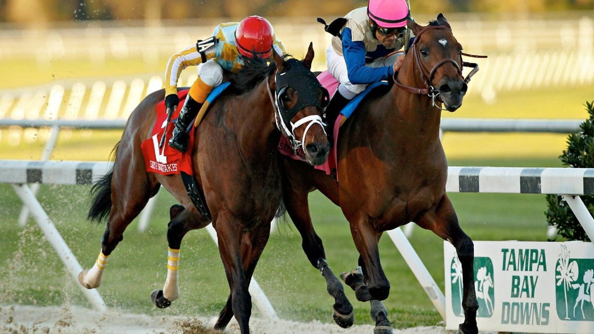 Road to the Kentucky Derby: Sam Davis Stakes, Withers Stakes, El Camino Real Derby