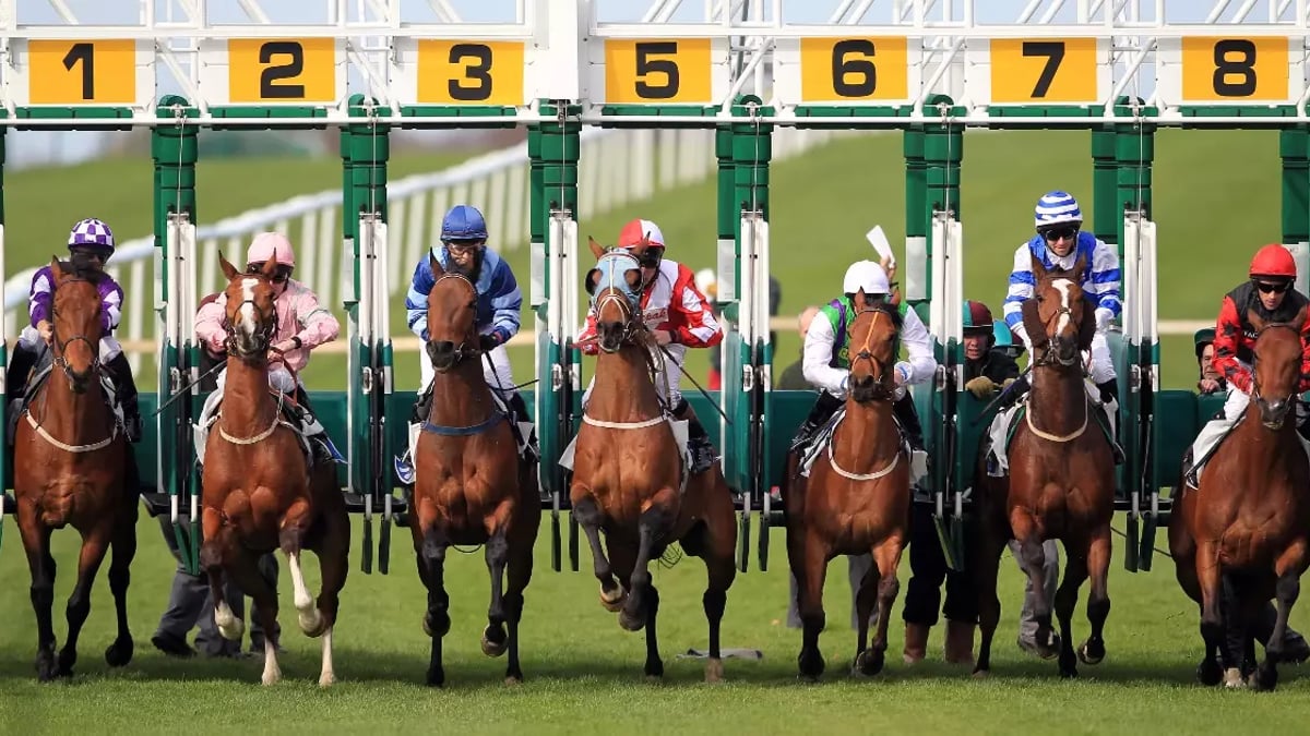 Today&#039;s Horse Racing Tips from James Boyle