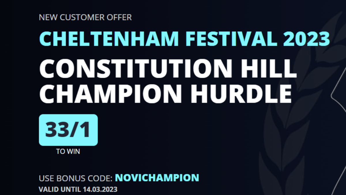 Cheltenham Betting Offers: Back Constitution Hill to Win at 33/1 Odds with Novibet