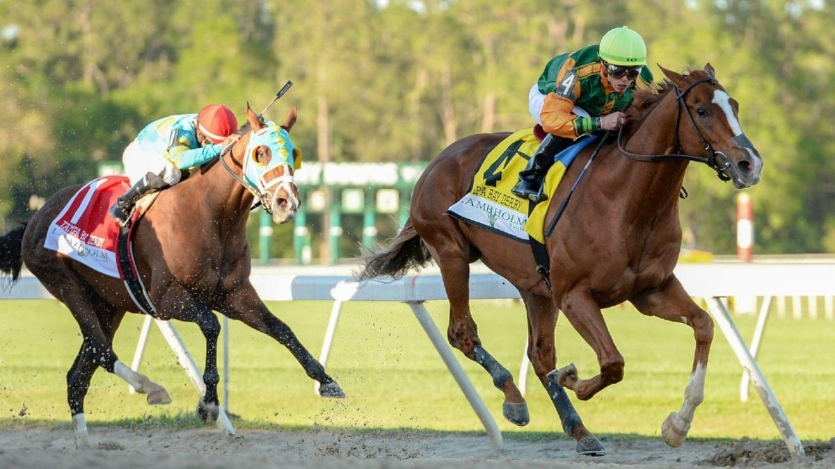 Road to the Kentucky Derby: Tampa Bay Derby