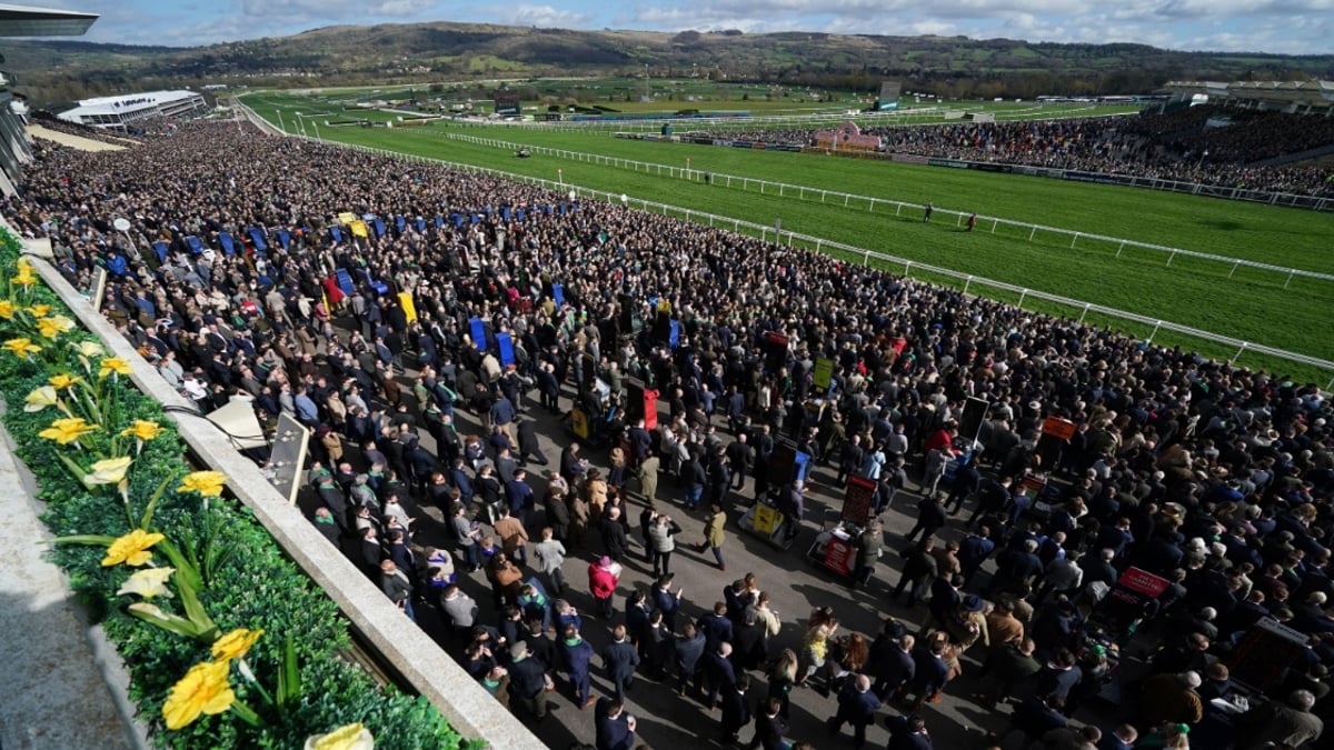 Cheltenham Free Bets: Today&#039;s Best Betting Promo Offers