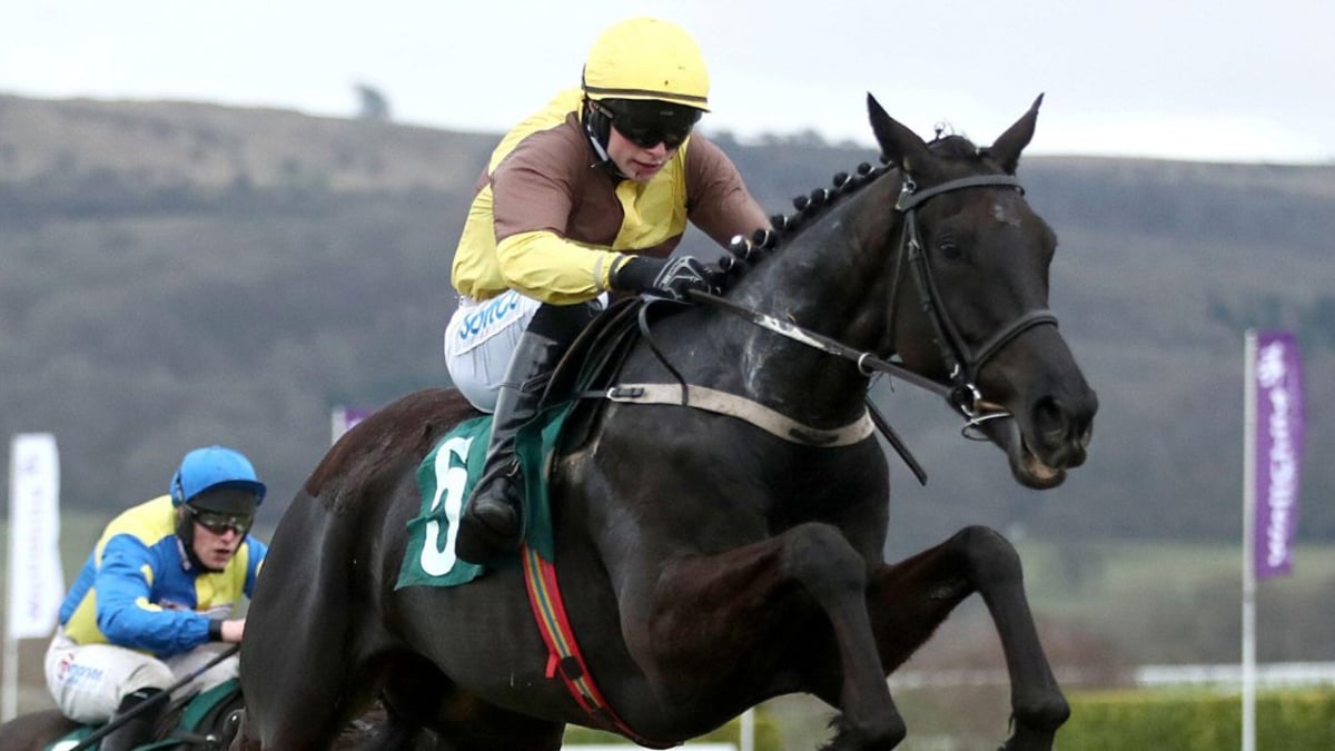 Cheltenham Tips: Gold Cup Betting Odds, Preview And Predictions