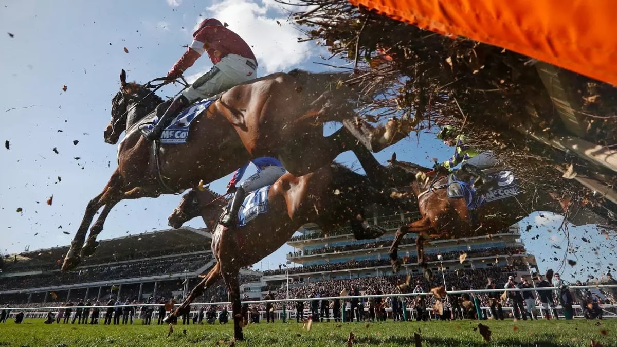 Friday Cheltenham Tips: Betting Picks For Gold Cup Day