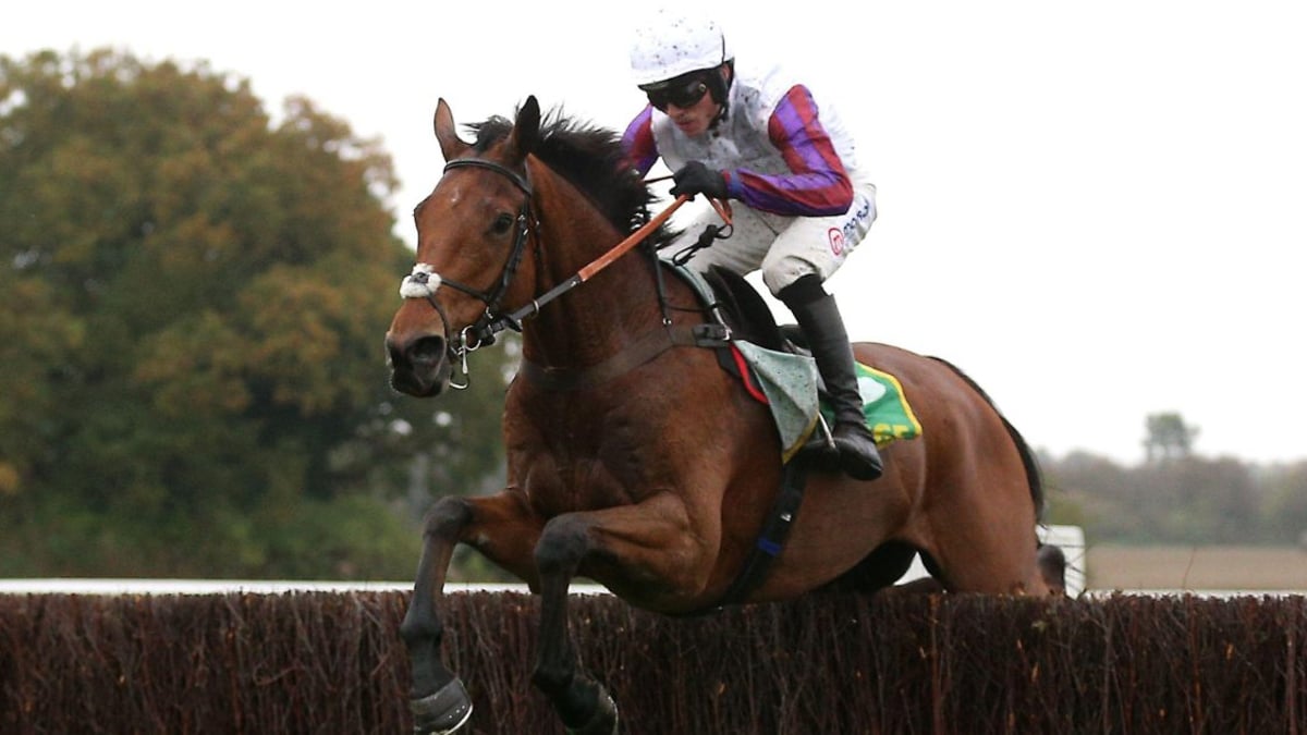 Cheltenham Tips: The Best Each-Way Bets For Today’s Festival Action