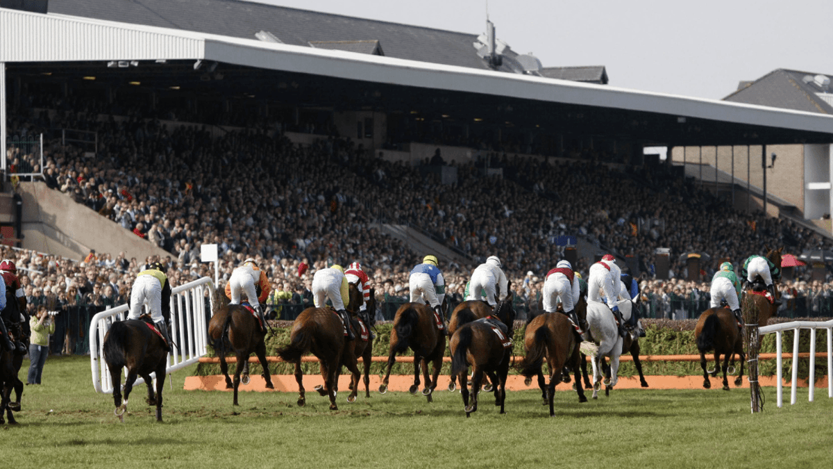 Punchestown Tips: Our Best Bets For Day 1 At The Festival